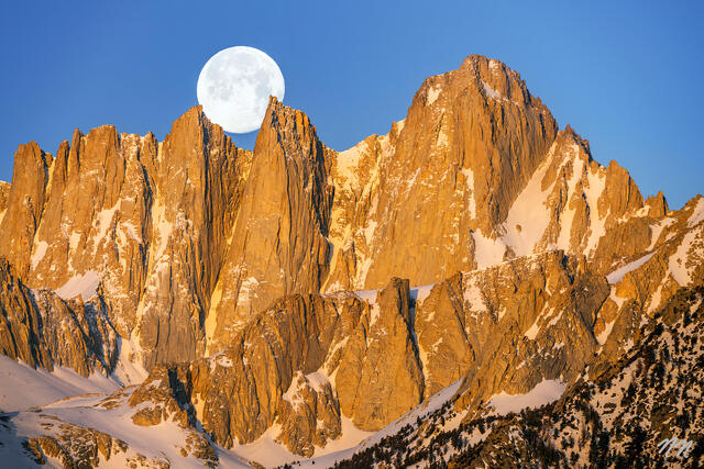Full moon setting behind Mount Whitney and jagged Sierra Nevada peaks in California’s Eastern Sierra with golden morning light and snow covered granite.