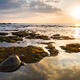 Honu Island Life