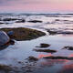Honu Watching Sunset