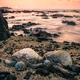 Sea Turtle Sunset Slumber