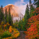 El Capitan Fall Color