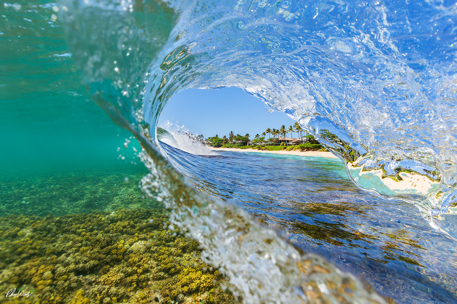 North Shore Wave View View from inside a curling wave with reef below and tropical shoreline on Oahu’s North Shore.
